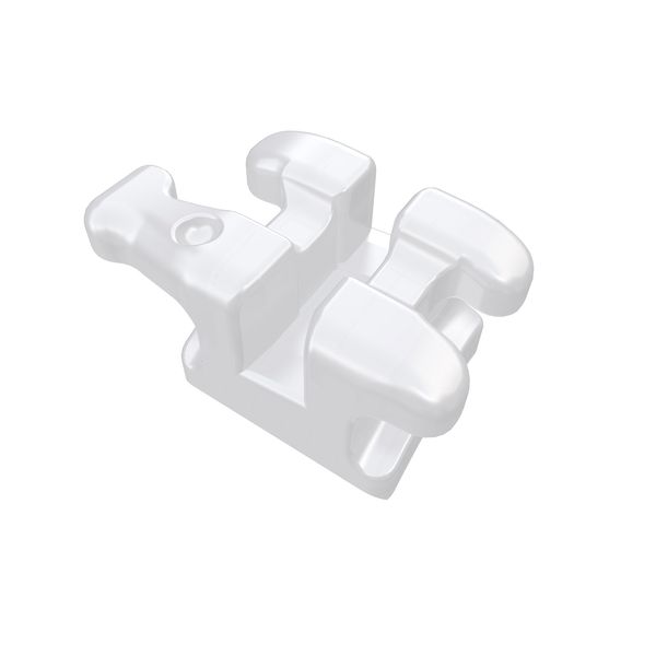 REPOSICAO-DE-BRAQUETES-ESTETICOS-CERAMICO---PRESCRICAO-ROTH-.018---DENTE-23-COM-GANCHO---INFINITY